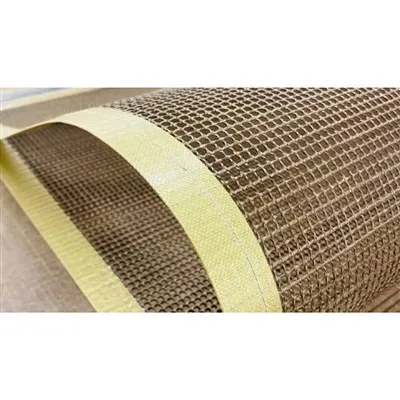 PTFE Belt Conveyor